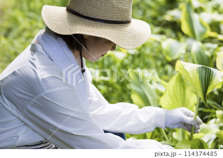 田舎暮らしをする女性 田舎暮らしをする女性 114374485