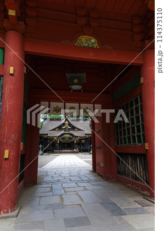 千葉 香取神宮 楼門から拝殿を望む 千葉 香取神宮 楼門から拝殿を望む 114375110