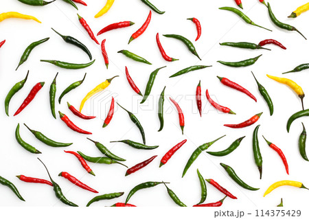 白背景にカラフルな唐辛子 114375429