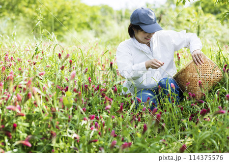 田舎暮らしをする女性 114375576