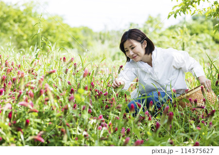 お花摘みをする女性 114375627