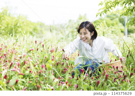 お花摘みをする女性の写真素材 [114375629] - PIXTA