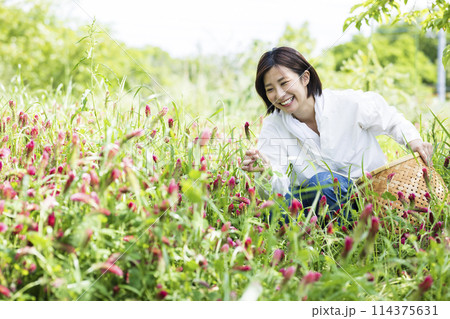 お花摘みをする女性の写真素材 [114375631] - PIXTA