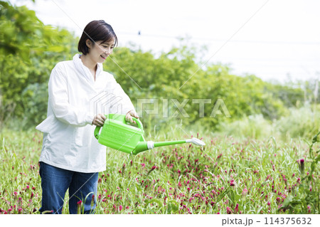 花に水やりをする女性 114375632