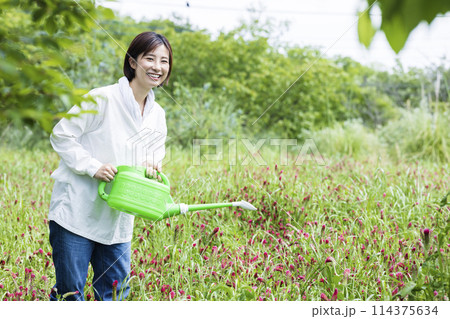 花に水やりをする女性 114375634