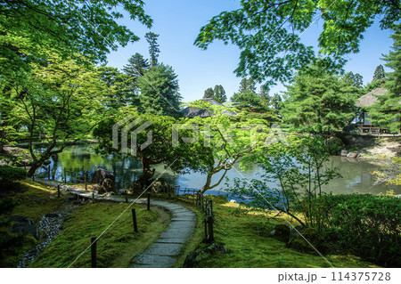 新緑の御薬園 114375728