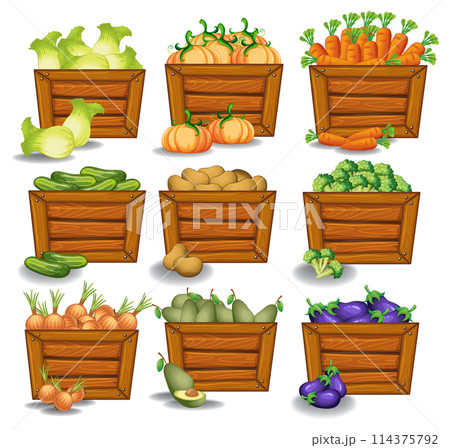 Colorful Assorted Vegetables in Wooden Crates 114375792