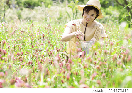 お花を摘む女性 お花を摘む女性 114375819