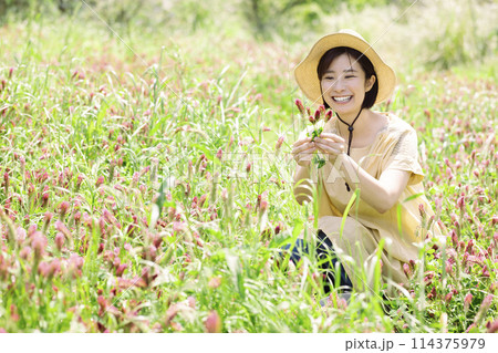 お花を摘む女性 お花を摘む女性 114375979