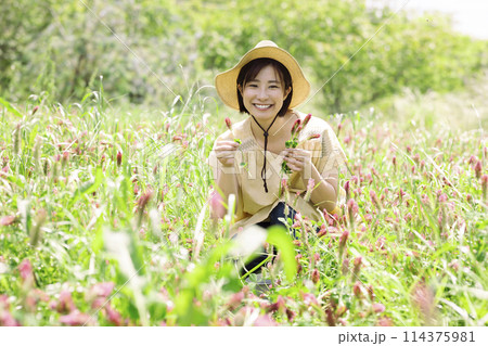 お花を摘む女性 お花を摘む女性 114375981