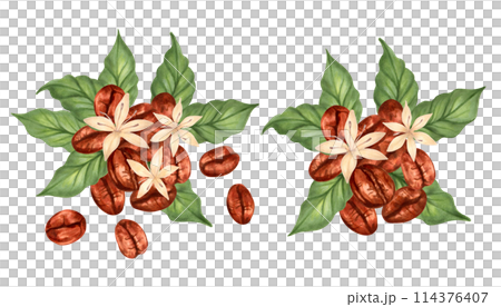 Composition of coffee beans with leaves and flowers. Coffee day. Illustration with watercolor and marker. Collection of Robusta and Arabica varieties. Hand drawn isolated art. Production, harvesting. 114376407
