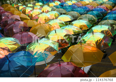 傘のディスプレイ 114376768