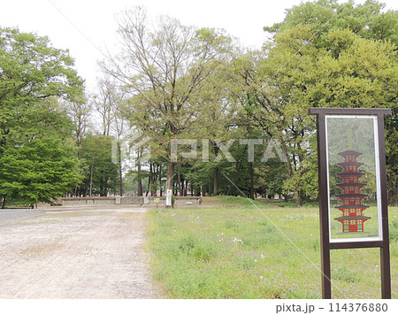 下野国分寺　塔跡 114376880
