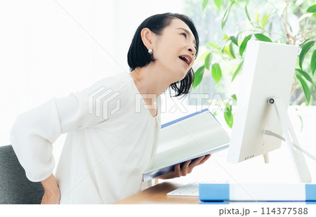 パソコン作業で腰痛が辛いミドル女性 114377588