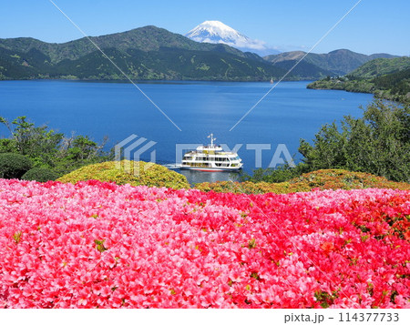 神奈川県　初夏の恩賜箱根公園の景観（ツツジと遊覧船）　5月 114377733