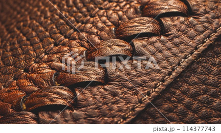 Embossed Leather Texture in Brown Shade 114377743