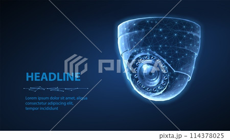 Dome security camera. Business monitoring, Camera surveillance, 114378025