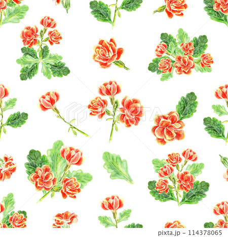 Pattern of kalanchoe flowers and leaves of succulents bouquet. Watercolor hand painted illustration isolated on white background. Used in packaging, on fabric, textiles and wrapping paper Pattern of kalanchoe flowers and leaves of succulents bouquet. Watercolor hand painted illustration isolated on white background. Used in packaging, on fabric, textiles and wrapping paper 114378065