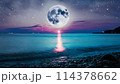 夜空に輝く満月と海の風景画 114378662