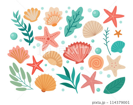 Set of colored sea shells, seaweeds, starfish Set of colored sea shells, seaweeds, starfish 114379001