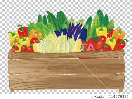 Watercolor style summer vegetables in wooden box set 114379335