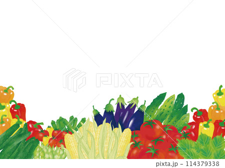 水彩風　夏野菜いろいろ　フレーム4 114379338