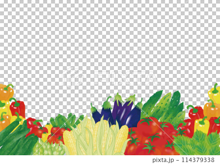 水彩風　夏野菜いろいろ　フレーム4 114379338
