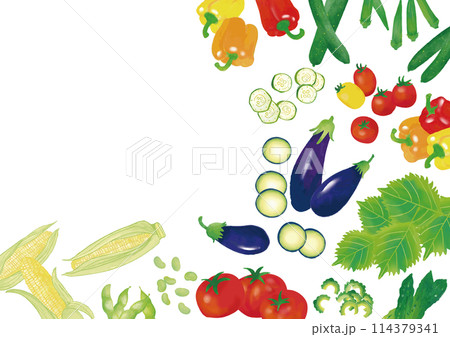 水彩風　夏野菜いろいろ　フレーム3 114379341