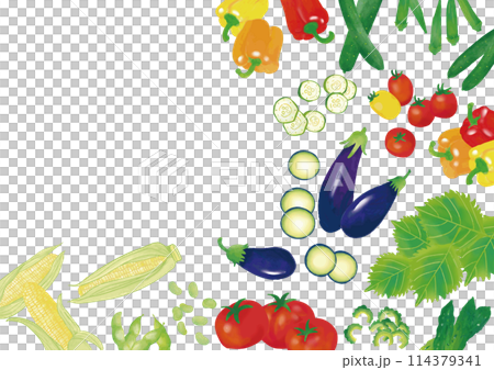 水彩風　夏野菜いろいろ　フレーム3 114379341