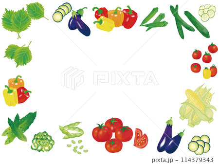 水彩風　夏野菜いろいろ　フレーム1 114379343