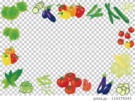 水彩風　夏野菜いろいろ　フレーム1 114379343