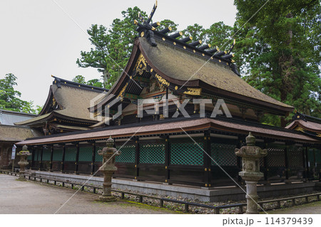 千葉 香取神宮 本殿と拝殿 千葉 香取神宮 本殿と拝殿 114379439