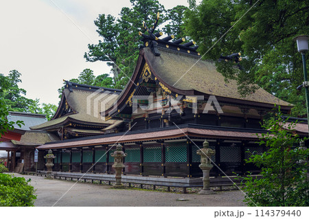 千葉 香取神宮 本殿と拝殿 千葉 香取神宮 本殿と拝殿 114379440
