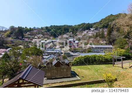 総本山長谷寺 玉鬘神社(たまかずら)と楼の長谷寺 2024年4月1日 総本山長谷寺 玉鬘神社(たまかずら)と楼の長谷寺 2024年4月1日 114379483