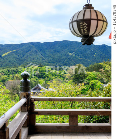 総本山長谷寺 本堂から新緑の鎌倉岳(城山、岳山) 2024年4月22日 総本山長谷寺 本堂から新緑の鎌倉岳(城山、岳山) 2024年4月22日 114379548