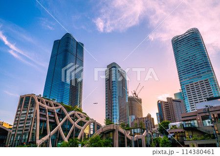 日本の東京都市景観 5月。麻布台ヒルズなどを望む＝5日 114380461