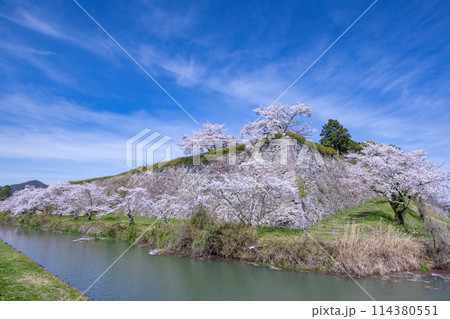 春の篠山城跡 114380551
