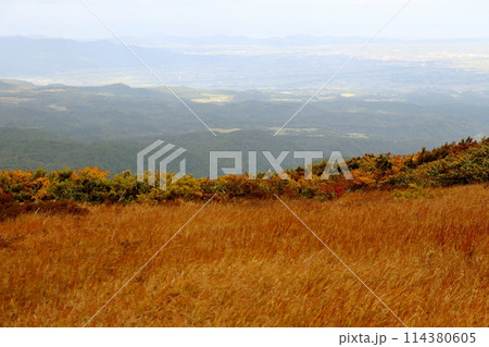 月山8合目は秋本番 114380605