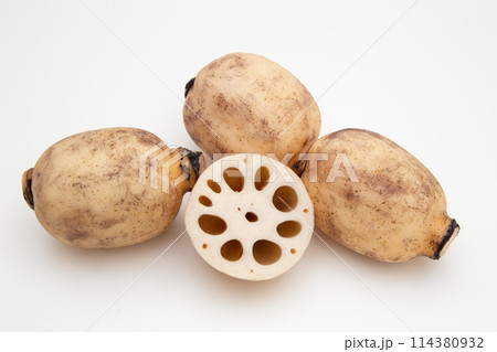 レンコン 蓮根 レンコン 蓮根 114380932