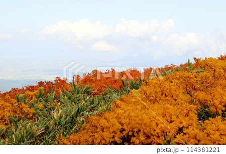 月山八合目は秋本番 114381221