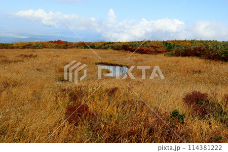 月山八合目は秋本番 114381222