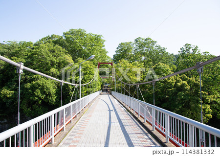 桜淵公園(愛知県新城市) 桜淵公園(愛知県新城市) 114381332