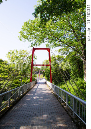 桜淵公園（愛知県新城市） 114381333
