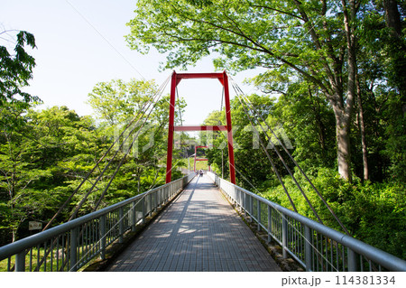 桜淵公園（愛知県新城市） 114381334