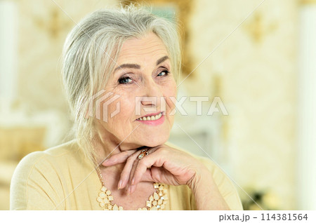 Portrait of happy senior woman posing at home Portrait of happy senior woman posing at home 114381564