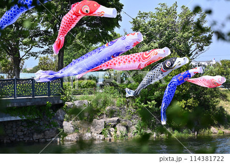 こいのぼり 柴山沼公園(埼玉県・白岡市) こいのぼり 柴山沼公園(埼玉県・白岡市) 114381722