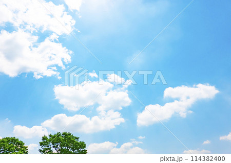 初夏の青空と木立 初夏の青空と木立 114382400