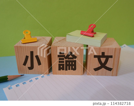 小論文のアイキャッチ画像 小論文のアイキャッチ画像 114382718