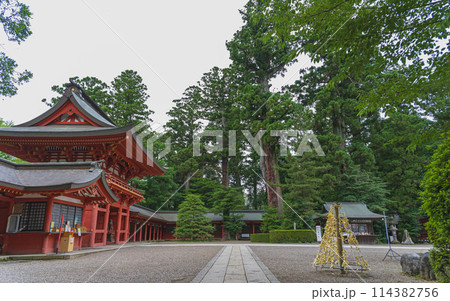 千葉 香取神宮 境内の風景 千葉 香取神宮 境内の風景 114382756