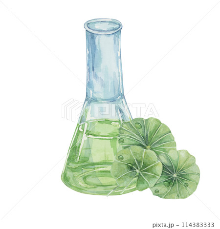 Centella asiatica and flask with green extract . Hand drawn gotu cola fluid juice glass clipart, watercolor leaves botanical illustration for cosmetics, stickers, packaging, beauty, herbal supplements 114383333